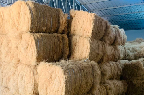 Coir Product